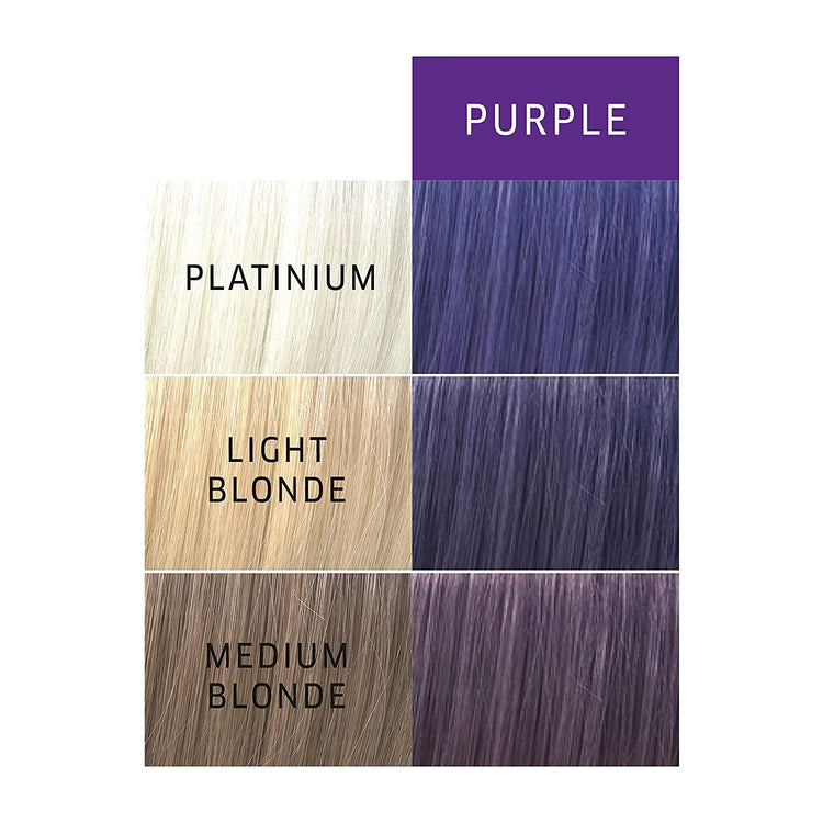 Wella Color Charm Paints 2 oz Purple 31019