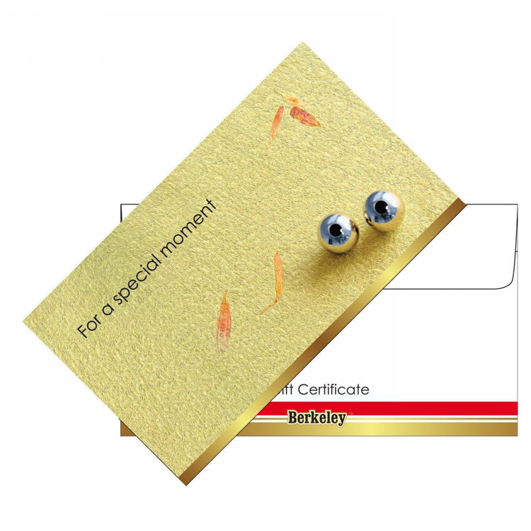 Matching Envelope For Gift Certificate 50PK EN105
