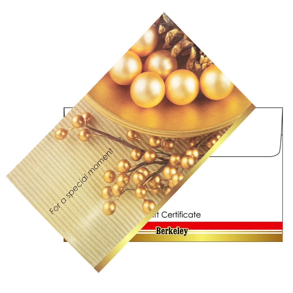 Matching Envelope For Gift Certificate 50PK EN106