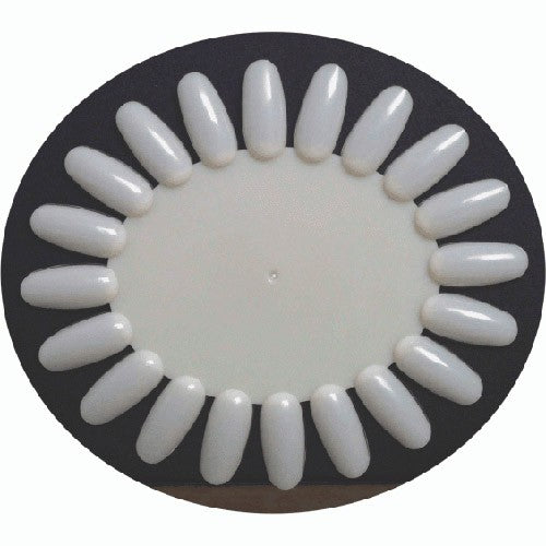 Berkeley Polish Color Display Oval 20Tips - Natural PD102NT