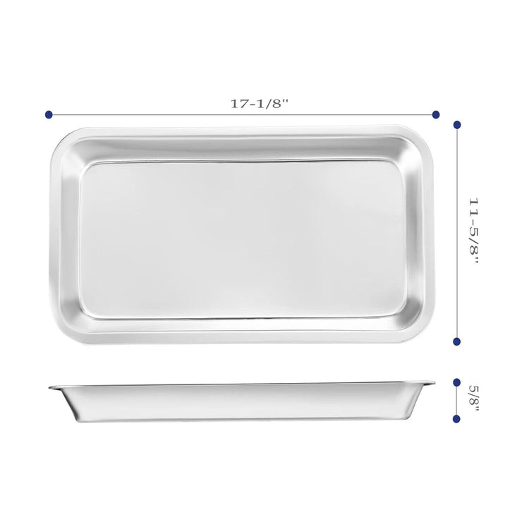 TECHMED Stainless Steel Instrument Tray 4263