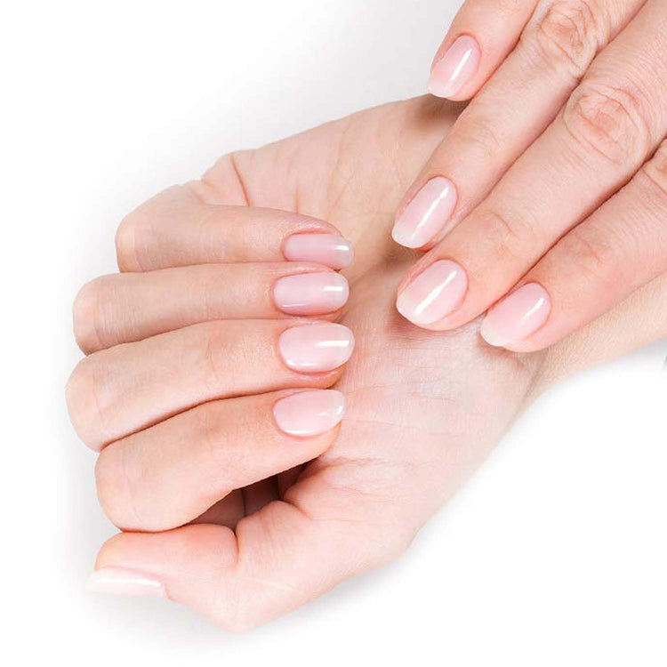 Harmony Secure Nail Adhesive Brush-On Nail Resin 0.5oz 01183