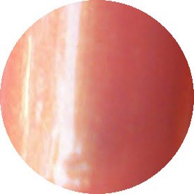 China Glaze Bare If You Dared 0.5 oz. #562
