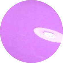 Color Club Wicker Park 0.5 oz. - 15 ml #1004