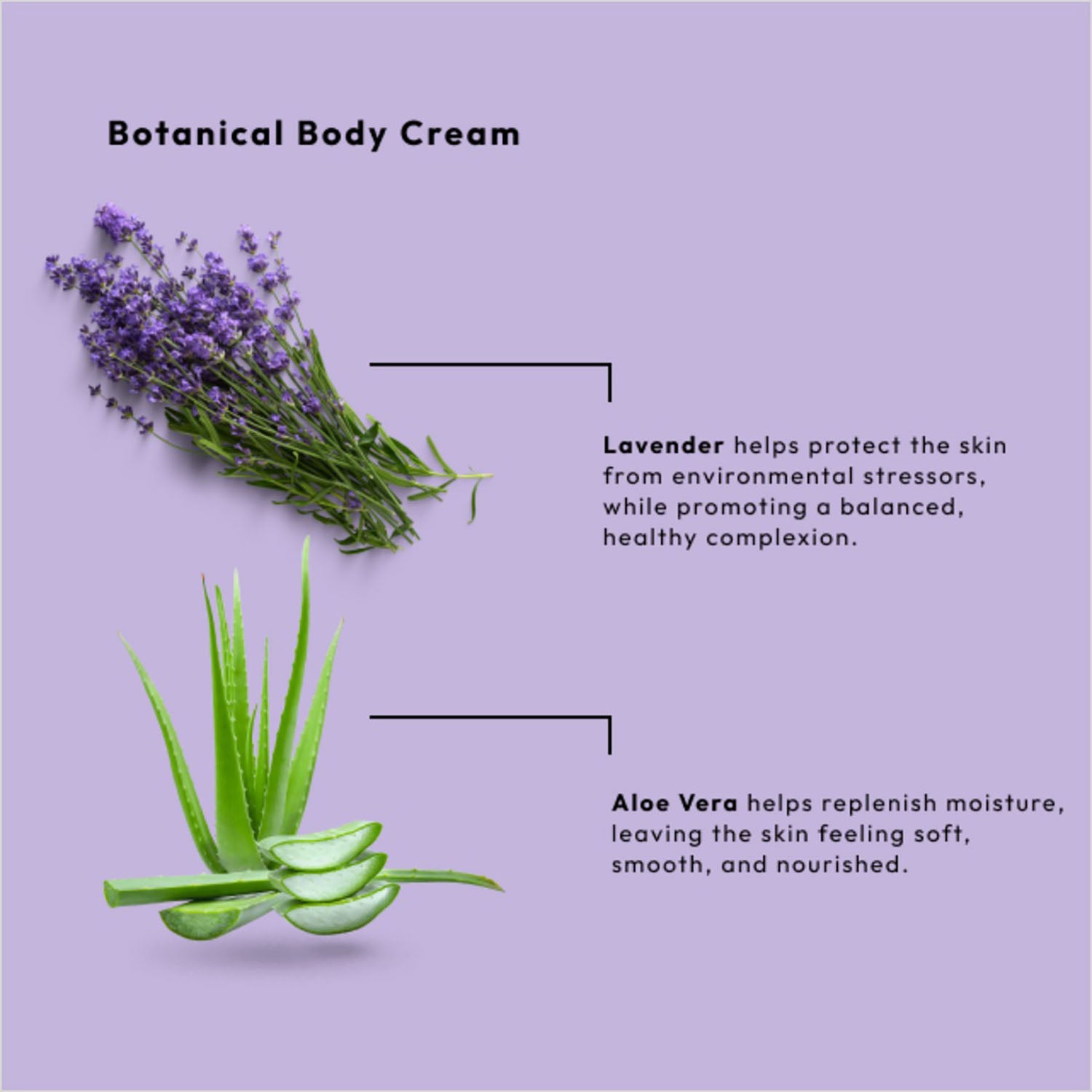 BCL SPA Botaniacal Hand & Body Cream 3 oz Lavender Serenity