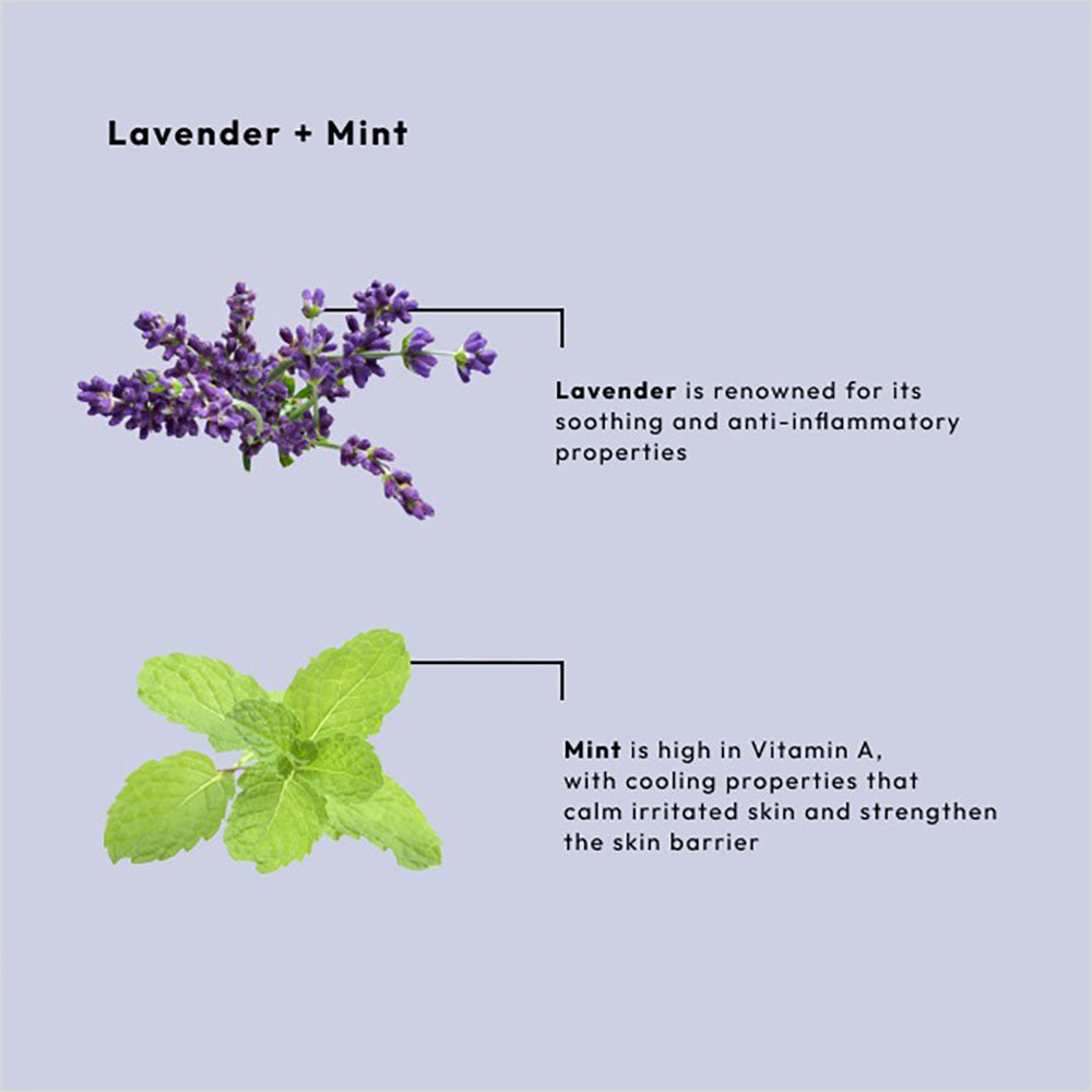 BCL SPA Sugar Scrub 64 oz - Lavender+Mint - SPA50014