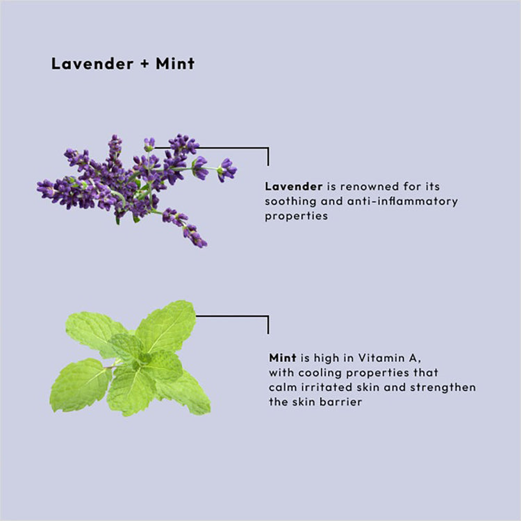 BCL SPA Massage Cream 16 oz - Lavender+Mint 53106