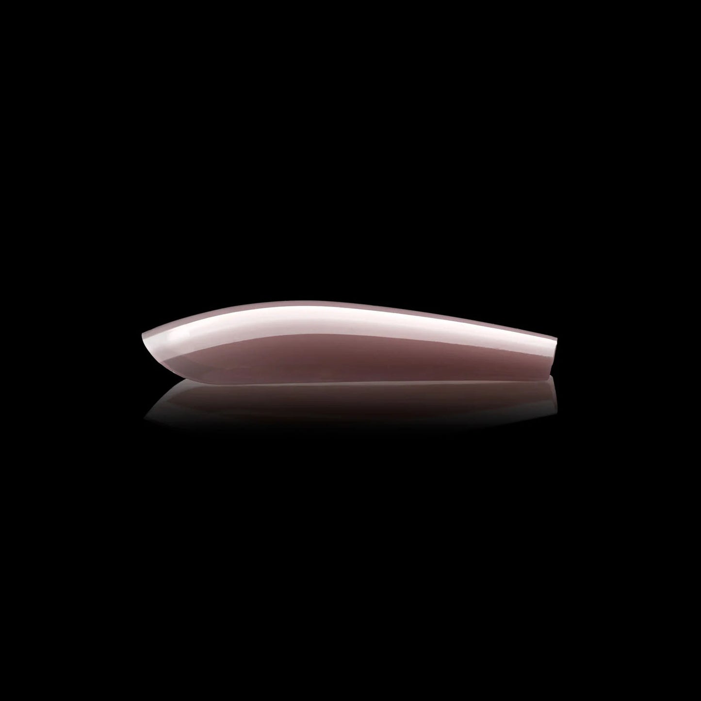 Apres Gel-X Mia Neutrals Sculpted Coffin Long 150PC 40180