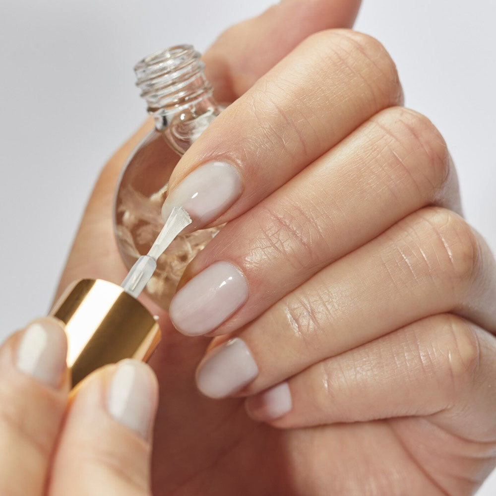 Blossom High Shine Top Coat 12Pcs Dis BL-HHTC12
